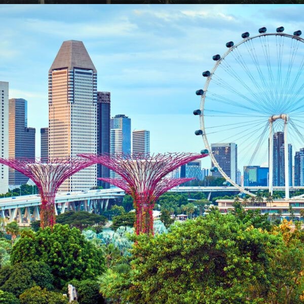 Singapore Special Tour.jpg